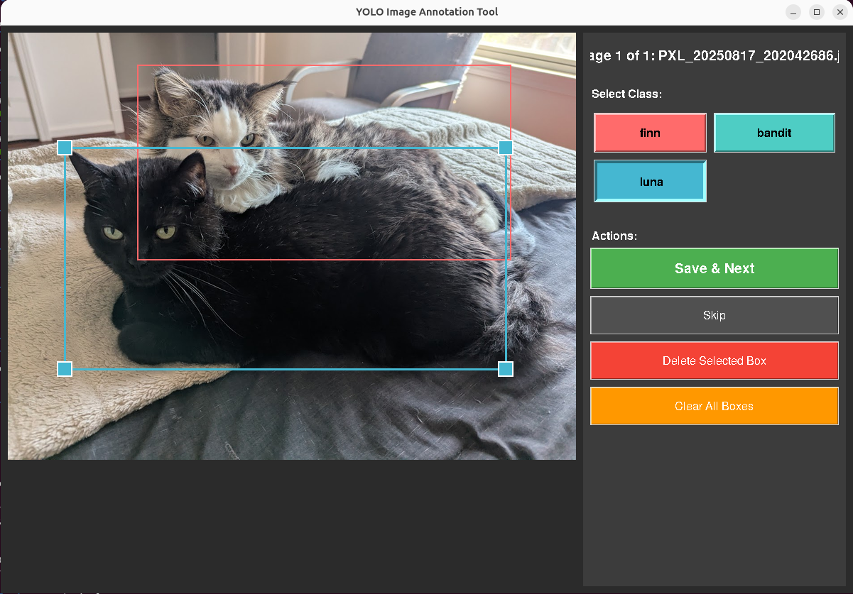 Screenshot of a tkinter-based YOLO annotation tool showing bounding boxes drawn around two cats, with class selection buttons and save controls on the right panel