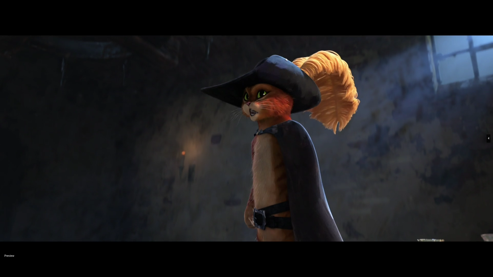 Puss in Boots standing in the rain wearing his hat, captured automatically by the classifier with 97.6% confidence