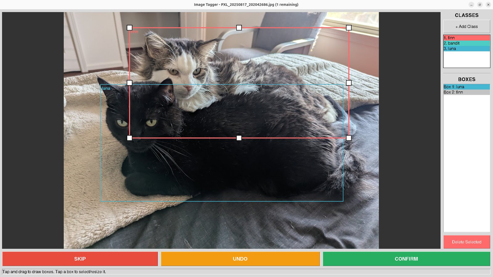 Screenshot of the improved Image Tagger tool showing the same two cats with bounding boxes, featuring a class list panel, box inventory, and large SKIP/UNDO/CONFIRM buttons along the bottom