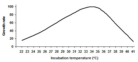 Growth rate vs incubation temperature chart for Rhizopus