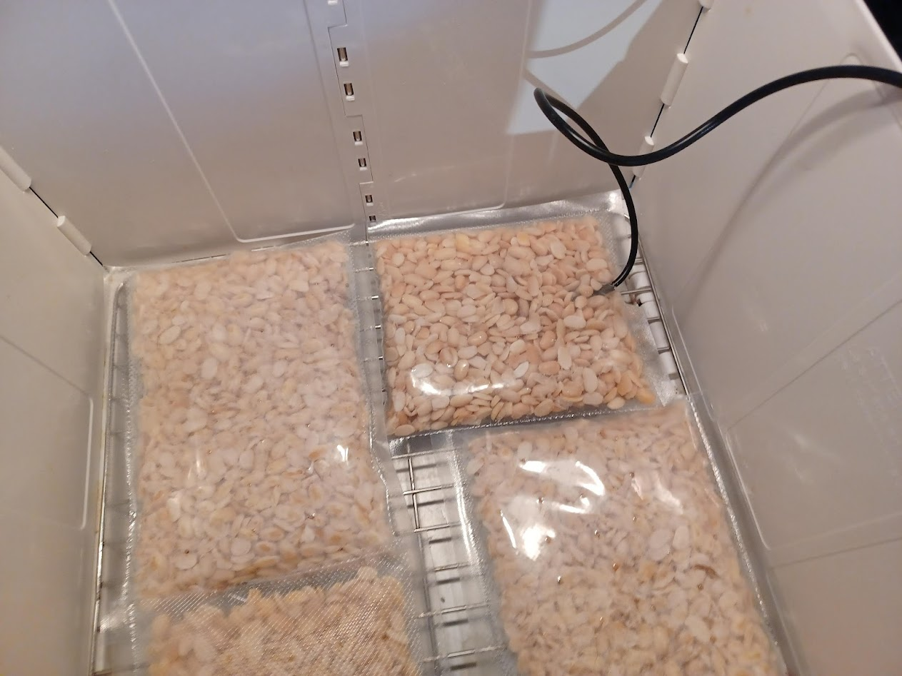 Temperature probe cable running into the incubator