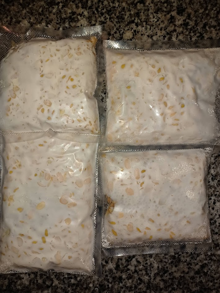 Four completed blocks of tempeh