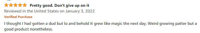 Amazon review updated to five stars