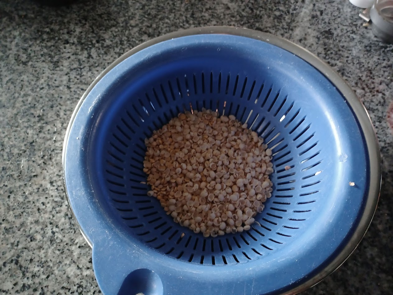 Bean hulls and dust in a blue colander