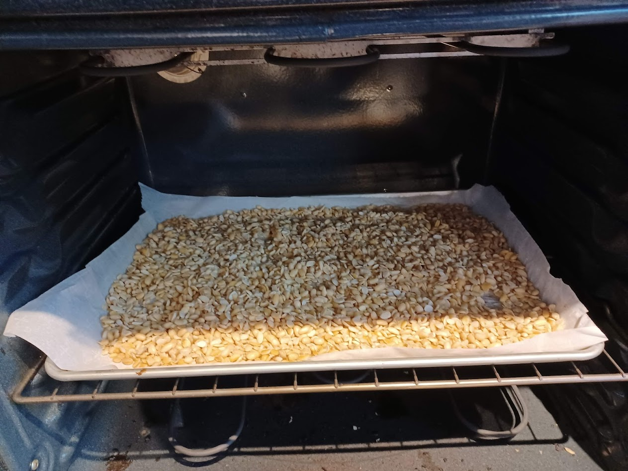Beans drying on a parchment-lined baking sheet in the oven